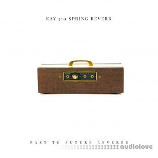 PastToFutureReverbs KAY 710 Spring Reverb