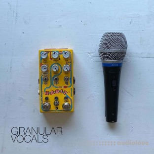 David Hilowitz Patron Exclusive: Granular Vocals Sample Library