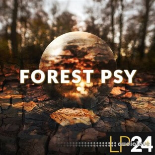 LP24 Forest Psy