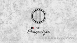 Impact Soundworks Rosette Fingerstyle