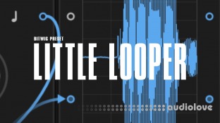 Polarity Music Little Looper