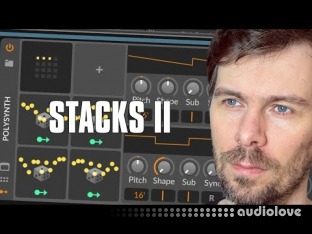 Polarity Music Voice Stacks 2 FX Grids