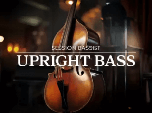 Native Instruments Session Bassist Upright Bass