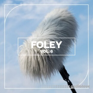 Blastwave FX Foley Vol. 6