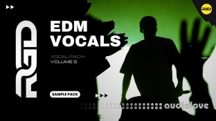 RAGGED Ultimate EDM Vocal Pack Volume 5