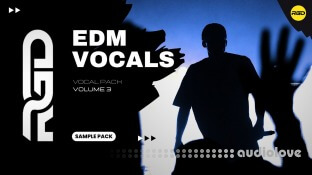 RAGGED Ultimate EDM Vocal Pack Volume 3