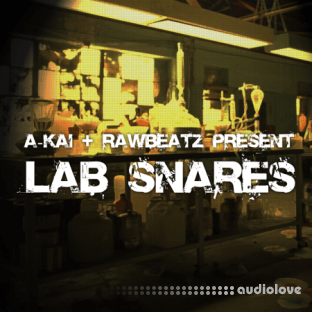 RawBeatz Lab Snares