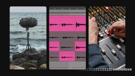 Udemy The Art Of Noise: Recording, Processing, And Philosophy