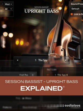 Groove3 Session Bassist Upright Bass Explained