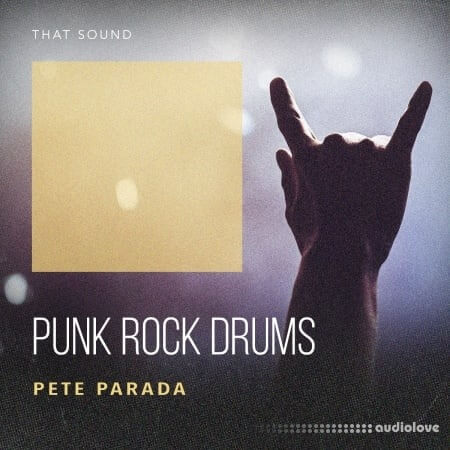 That Sound Punk Rock Drums