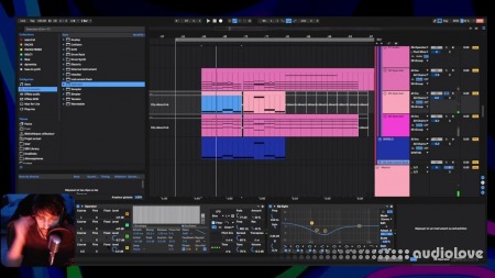 Hammerhead Homeboi Breakdown + STEMS