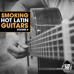 Vanilla Groove Studios Smoking Hot Latin Guitars Vol.4