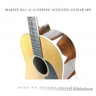 PastToFutureReverbs Martin D12-35 12 String Acoustic Guitar