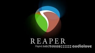 Udemy Reaper Daw Diy Course