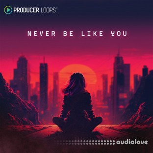 Producer Loops Never Be Like You