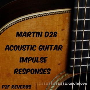 PastToFutureReverbs Martin D-28 Acoustic Guitar Impulse Responses