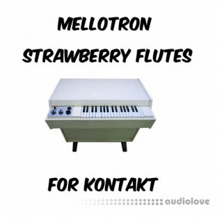 PastToFutureReverbs Mellotron Strawberry Flute