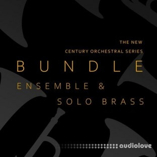 8Dio Century Brass Bundle