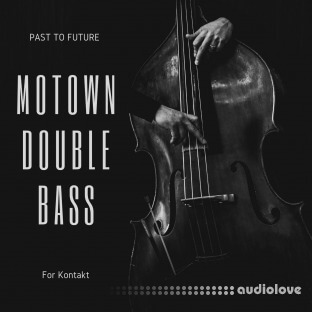 PastToFutureReverbs Motown Double Bass