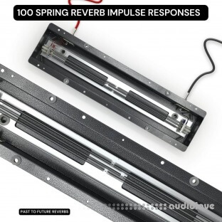 PastToFutureReverbs 100 Spring Reverb IRS Collection