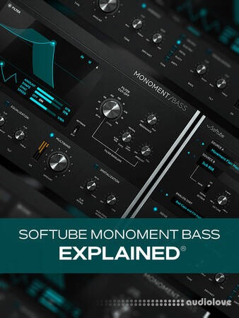 Groove3 Softube Monoment Bass Explained