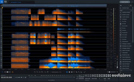 iZotope RX 11 Advanced Audio Editor