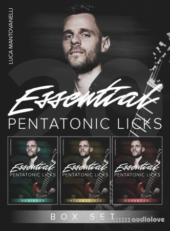 JTC Guitar Luca Mantovanelli 20 Essential Pentatonic Licks: Box Set