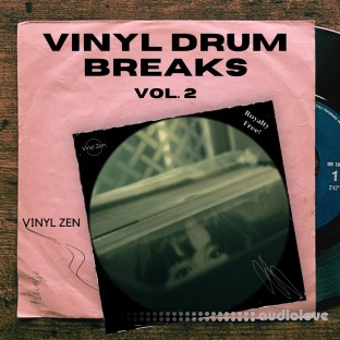 PastToFutureReverbs Vinyl Drum Breaks Vol.2