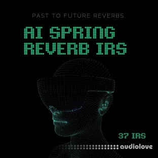 PastToFutureReverbs AI Spring Reverb