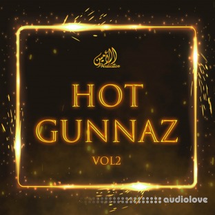 Al Amin Hot Gunnaz Vol 2