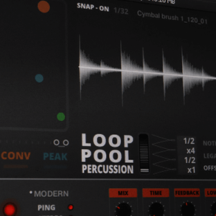 Sound Dust Loop Pool Percussion