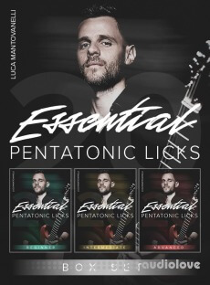 JTC Guitar Luca Mantovanelli 20 Essential Pentatonic Licks: Box Set