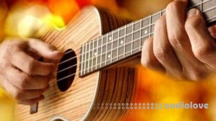 Udemy Fingerpicking Ukulele