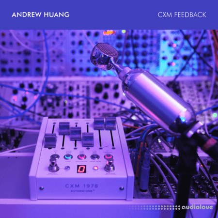 Andrew Huang CXM Feedback Sample Pack