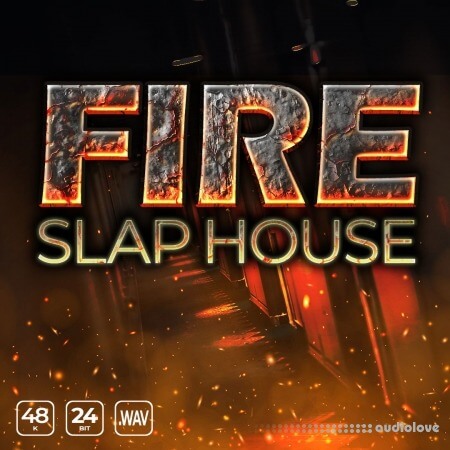 Epic Stock Media Fire Slap House