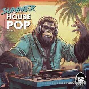 Vanilla Groove Studios Summer Pop House Vol 1