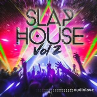 2Deep Beats Slap House Vol 2