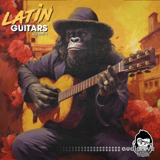 Vanilla Groove Studios Latin Acoustic Guitars Vol 1