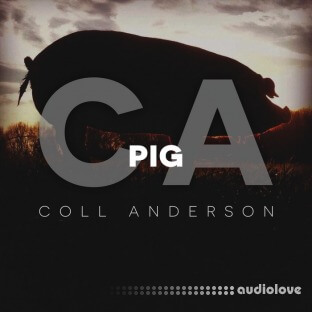 C.A. Sound Inc Pig