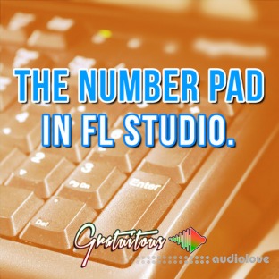 itsGratuiTous Best FL Studio Workflow [Number Pad]