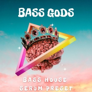 Infinity Audio Bass Gods Bass House Serum Presets