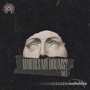 Podzontommusic Wheres my drums Vol.1