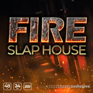 Epic Stock Media Fire Slap House