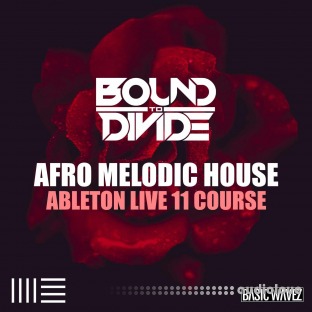 Basic Wavez Ableton Live 11 Course: Afro Melodic House Start To Finish With Bound to Divide