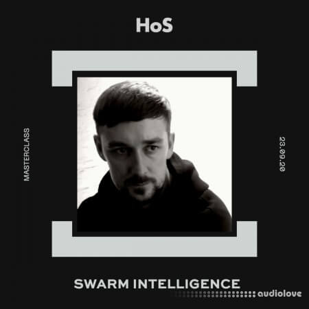 Home of Sound Swarm Intelligence