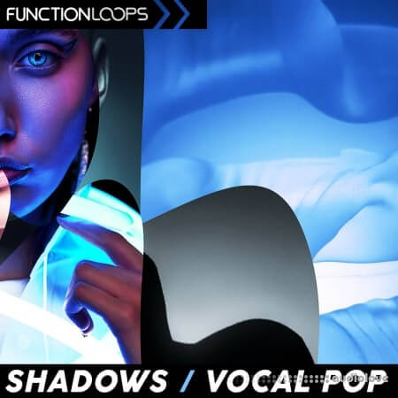 Function Loops Shadows - Vocal Pop