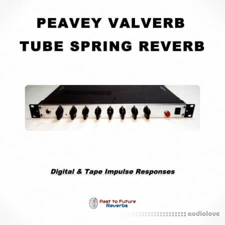 PastToFutureReverbs Peavey Valverb! (Rare Tube Spring Reverb)