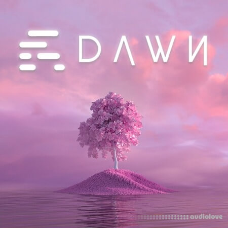 TP Audio DAWN