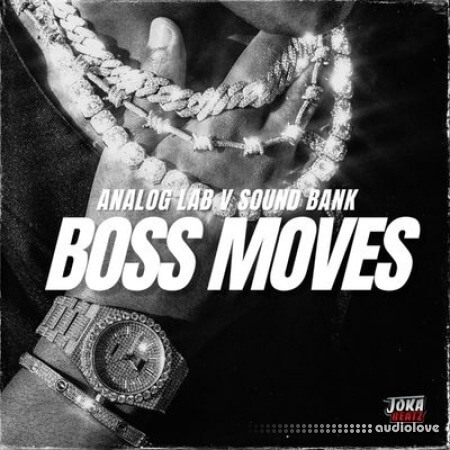 Diamond Loopz Boss Moves Analog Lab Bank