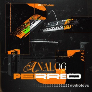 ReeMau Analog Perreo (Bundle Kit)